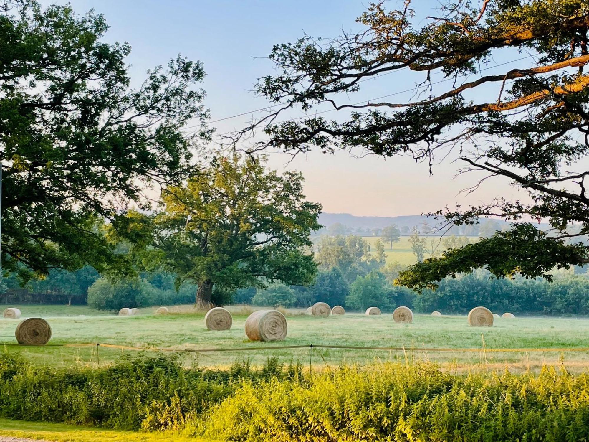 Domaine Le Rianon Βίλα Malleret-Boussac Εξωτερικό φωτογραφία