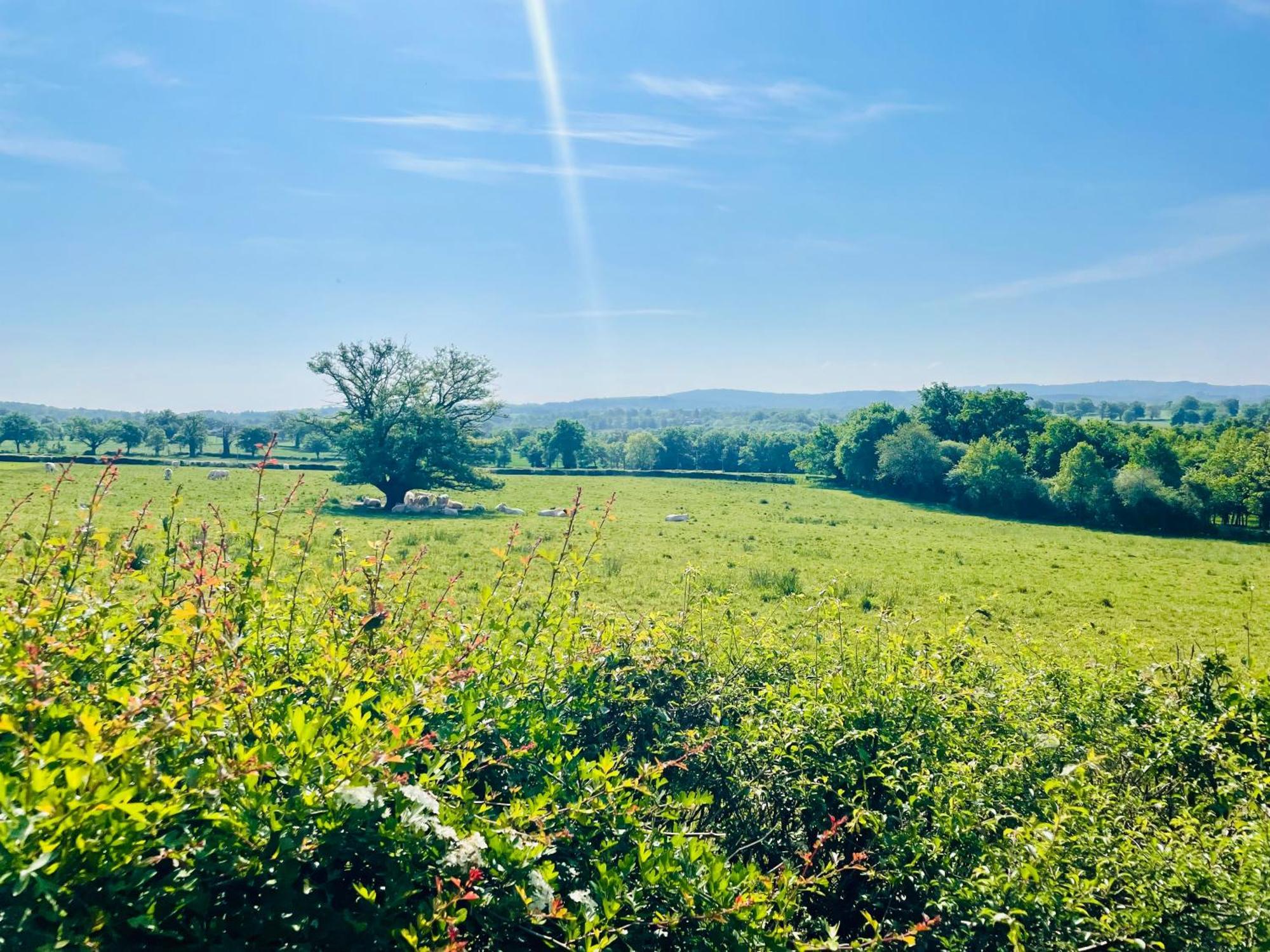 Domaine Le Rianon Βίλα Malleret-Boussac Εξωτερικό φωτογραφία