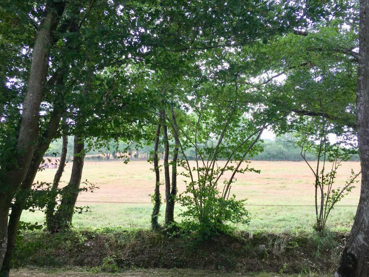 Domaine Le Rianon Βίλα Malleret-Boussac Εξωτερικό φωτογραφία